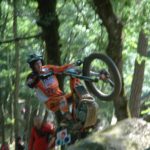 tn_dsc_3598.jpg