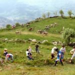 ecole-trial-bresse-premierstage.jpg