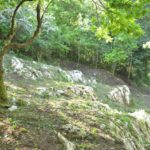 chouzelot_trial_23_05_2016-1.jpg