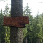 tcsp_trila_05_2016-2.jpg