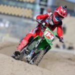 livia_lancelot_cross_2016.jpg