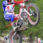 gubian_loris_trial_tdn_2016_isola.jpg