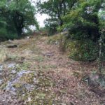 truyere_2016_trial_26_09_2016-2.jpg