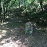 truyere_trial_13_09_2016-1.jpg