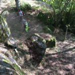 truyere_trial_13_09_2016-2.jpg