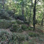 tryuere_trial_trois_jours_06_09_2016-img_1052_2_.jpg