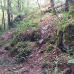 tryuere_trial_trois_jours_06_09_2016-img_1053_2_.jpg
