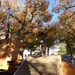 truye_re_trial_bontemps_11_2016-p1110476.jpg