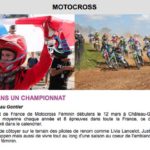 ffm_newsletter_fe_minines_19_12_2016-3.jpg