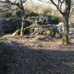 lourdes_trial_3_02_2017-1.jpg