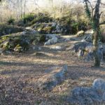 lourdes_trial_3_02_2017-2.jpg