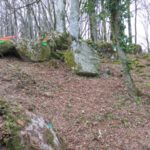 cantal_trial_26_03_2017-1.jpg