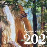 hugo-dufrese-voeux-2021.jpg